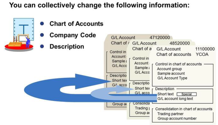 Sap S4 Hana Chart Of Accounts